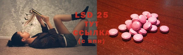 крисы Елизово