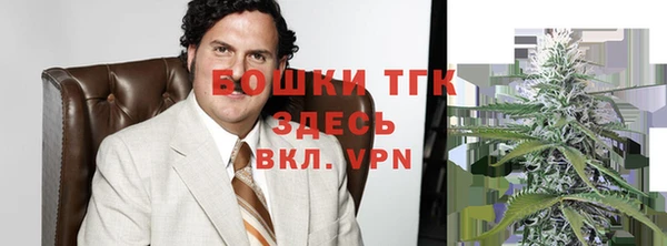 ALPHA PVP Ельня