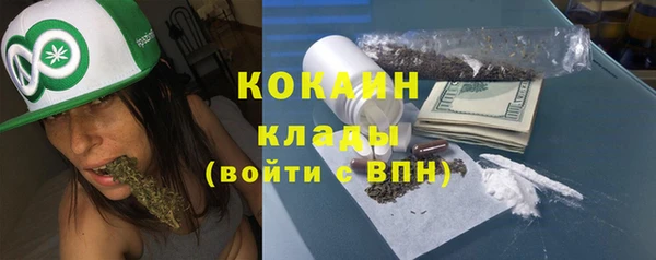 ALPHA PVP Ельня