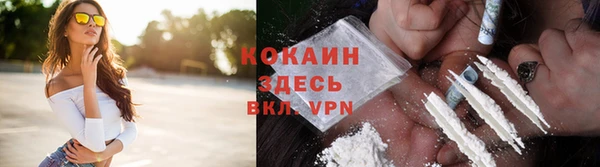 ALPHA PVP Ельня