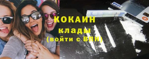 крисы Елизово