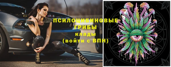 ALPHA PVP Ельня