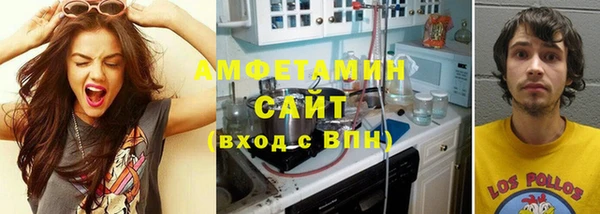 индика Дмитровск