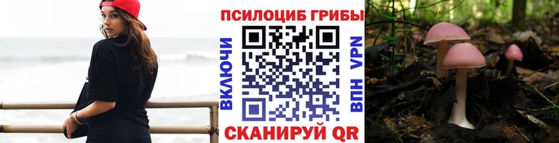 цена наркотик  Зерноград  kraken   Галлюциногенные грибы Cubensis 